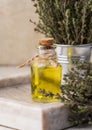 Thyme essential oil and fresh thyme sprigs on table, ingredient for cosmetics and cuisin Royalty Free Stock Photo