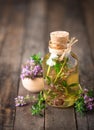 Thyme essential oil Royalty Free Stock Photo