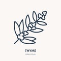 Thyme flower flat line icon. Medicinal plant vector illustration. Thin sign for herbal medicine, essential oil logo