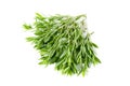 Thyme fresh herb isolated on white background Royalty Free Stock Photo