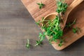 Thyme fresh herb on wood background. Royalty Free Stock Photo