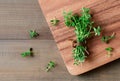 Thyme fresh herb on wood background. Royalty Free Stock Photo