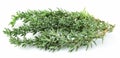 Thyme herb