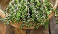 Thyme herb in basket on wooden table. Royalty Free Stock Photo