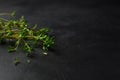 Thyme herb leaves on dark slate table background. Selective focus Royalty Free Stock Photo