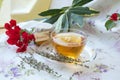 Thyme herbal tea Royalty Free Stock Photo