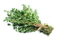 Thyme herbs Royalty Free Stock Photo