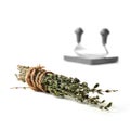 Thyme Herbs Royalty Free Stock Photo