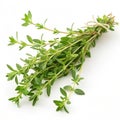 Thyme isolated on white background Royalty Free Stock Photo