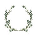 Thyme leaf green wreath Vector isolated Medicinal set of leaves