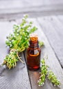 Thyme oil Royalty Free Stock Photo