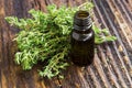 Thyme oil Royalty Free Stock Photo