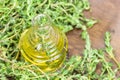 Thyme oil Royalty Free Stock Photo