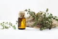 Thyme oil skincare. Bottle of herbal extract, aromatic fresh green twigs.