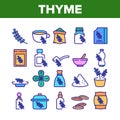 Thyme Plant Product Collection Icons Set Vector Royalty Free Stock Photo