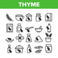 Thyme Plant Product Collection Icons Set Vector Royalty Free Stock Photo