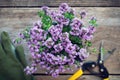 Thyme plant. Gloves and pruner on table, not in focus.