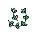 Thyme, rosemary flat color line icon. Isolated on white background