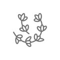 Thyme, rosemary line icon.