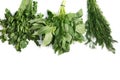 Thyme Rosemary Tarragon Royalty Free Stock Photo