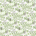 Thyme. Seamless pattern with spicy herbs on white. Color vector illustration. Perfect for design templates, wallpaper, wrapping,