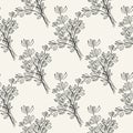 Thyme sketch seamless pattern. Hand drawn food ingredient