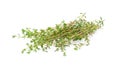 Thyme sprigs isolated on a white background Royalty Free Stock Photo