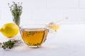 Thyme tea in glass cup, sprig of fresh thyme, lemon and ginger on white table Royalty Free Stock Photo