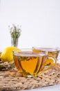 Thyme tea in glass cup, sprig of fresh thyme, lemon and ginger on white table Royalty Free Stock Photo