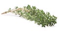 Thyme (Thymus vulgaris), clipping path