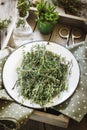 Thyme in vintage plate in wooden box.