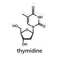 Thymidine chemical formula Royalty Free Stock Photo