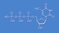 Thymidine triphosphate TTP nucleotide molecule. DNA building block. Skeletal formula. Royalty Free Stock Photo