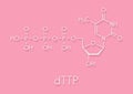 Thymidine triphosphate TTP nucleotide molecule. DNA building block. Skeletal formula.