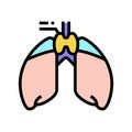 thymus endocrinology color icon vector illustration