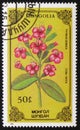 Thymus gobica, series devoted to flowers, circa 1986