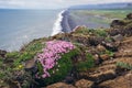 Cape Dyrholaey in Iceland