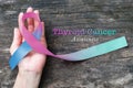 Thyroid Cancer Awareness ribbon Teal Pink Blue color ribbon isolated with clipping path on woman`s hand support