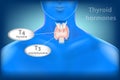 Thyroid Gland Anatomy. Thyroid hormones Royalty Free Stock Photo