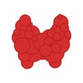 Thyroid gland body organ icon for hormone function concept