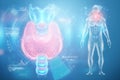 Thyroid gland, hologram on a blue background with medical indicators. Ultrasound diagnostics, thyroid diseases. 3D render, 3D