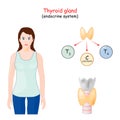 Thyroid gland hormones