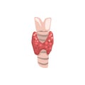 Thyroid gland, human internal organ anatomy vector Illustration on a white background Royalty Free Stock Photo
