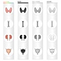 Thyroid gland, human spine, kidney organ, bladder. Human organs set collection icons in cartoon black monochrome outline