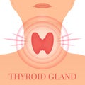 Thyroid gland in a pain target