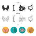 Thyroid gland, spine, small intestine, large intestine. Human organs set collection icons in black,flat,outline style