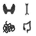Thyroid gland, spine, small intestine, large intestine. Human organs set collection icons in black style vector symbol