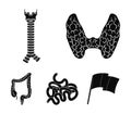 Thyroid gland, spine, small intestine, large intestine. Human organs set collection icons in black style vector symbol