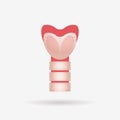 Thyroid gland with trachea and larynx endocrinology system or hormone secretion human internal organ anatomy healthcare