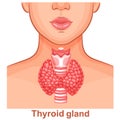 Thyroid gland, trachea organ anatomy, woman throat, human endocrine system health icon. Endocrinology medical treatment. Vector